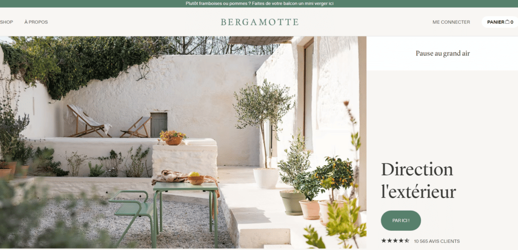 Page d'accueil du site internet de Bergamotte