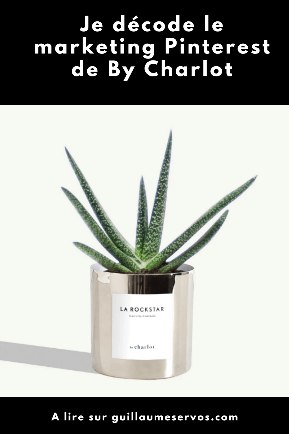 Comment la maison By Charlot utilise Pinterest pour son business ? Je décode le marketing Pinterest de la marque française de plantes d'exception.
