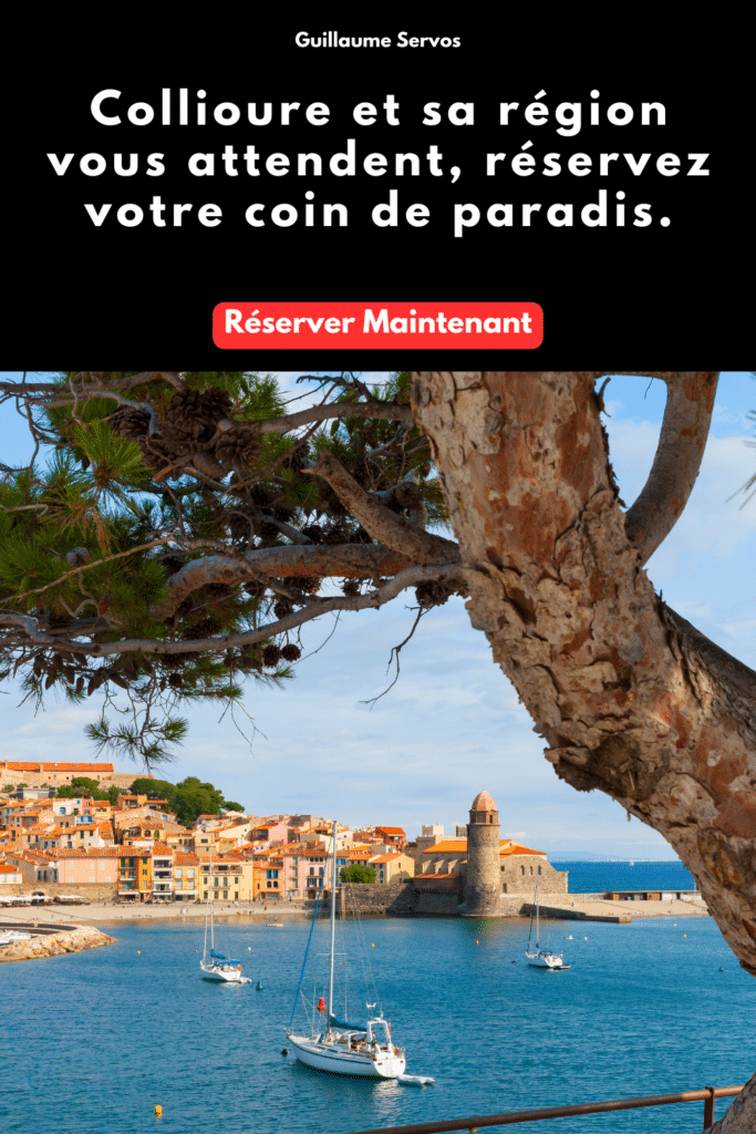 Réserve maintenant ton logement dans Collioure et sa région