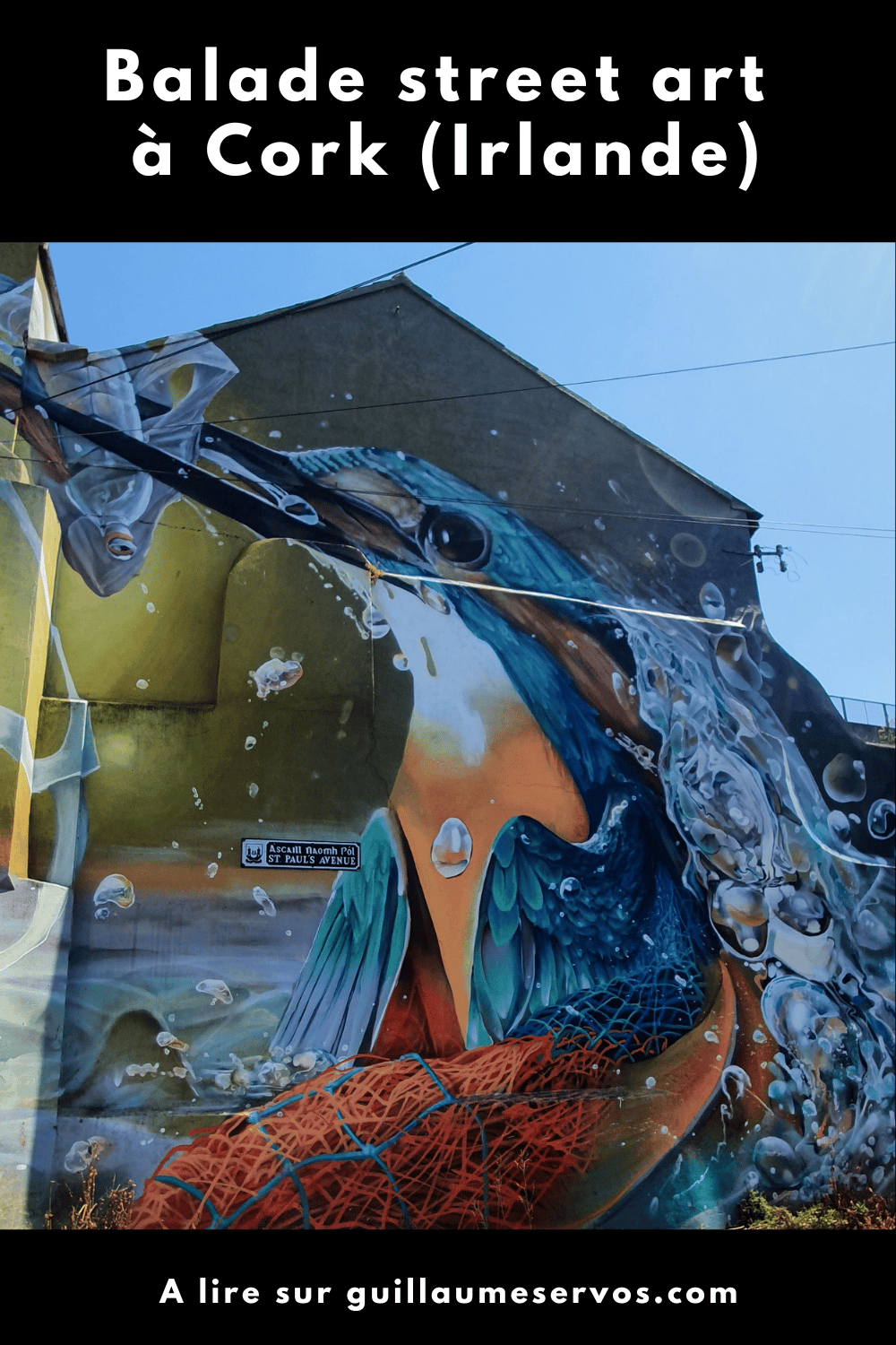 Balade street art à Cork (Irlande)