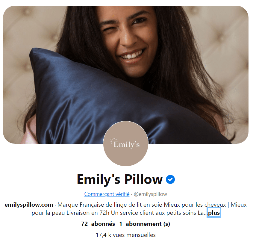 La page d'accueil du compte Pinterest de Emily's Pillow