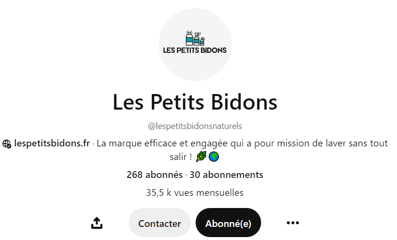 Profil Pinterest des Petits Bidons