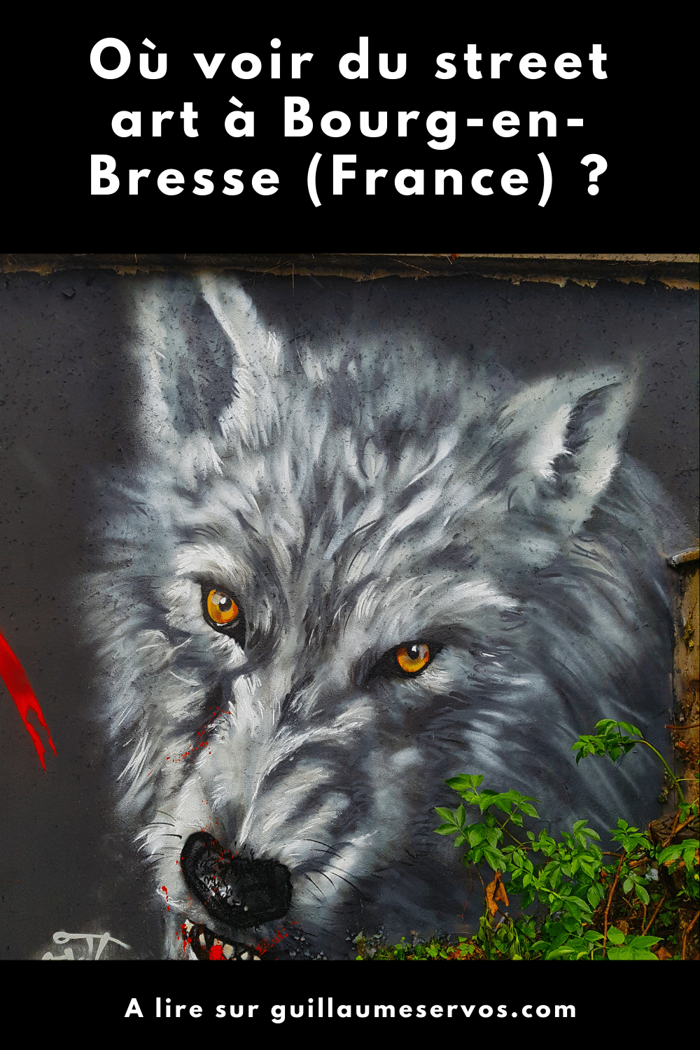 Où voir du street art à Bourg-en-Bresse ?