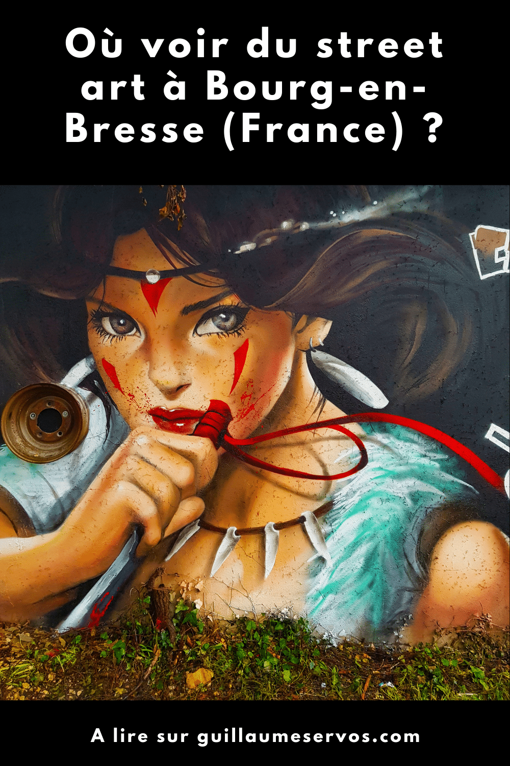 Où voir du street art à Bourg-en-Bresse ?