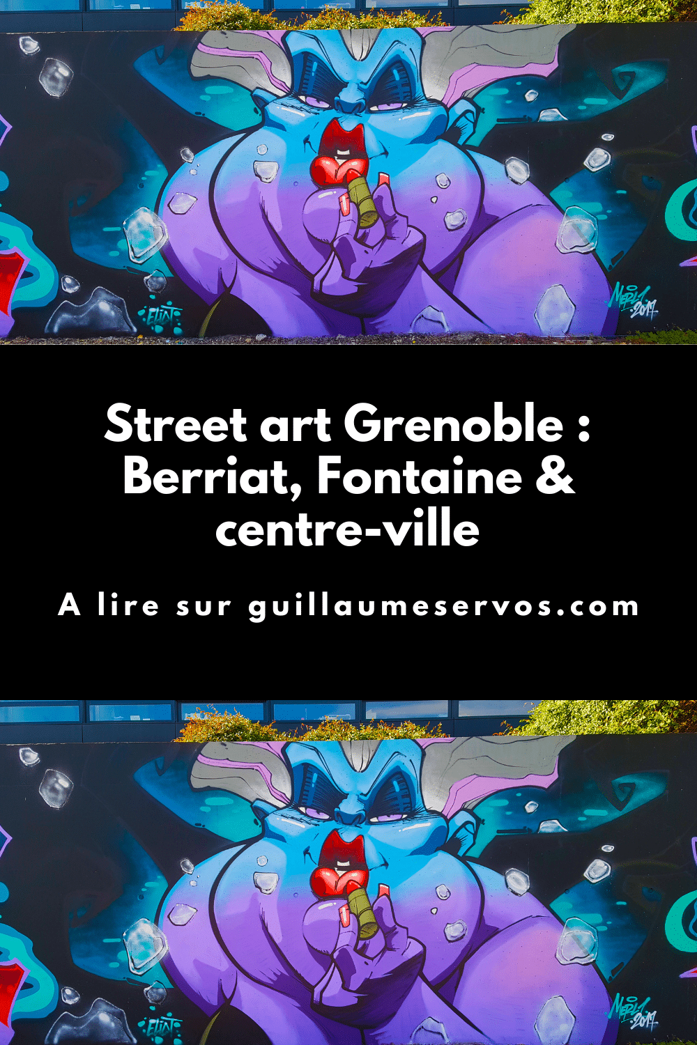 Street art Grenoble : Berriat, Fontaine & centre-ville