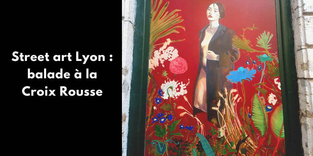 Street art Lyon : balade à la Croix Rousse