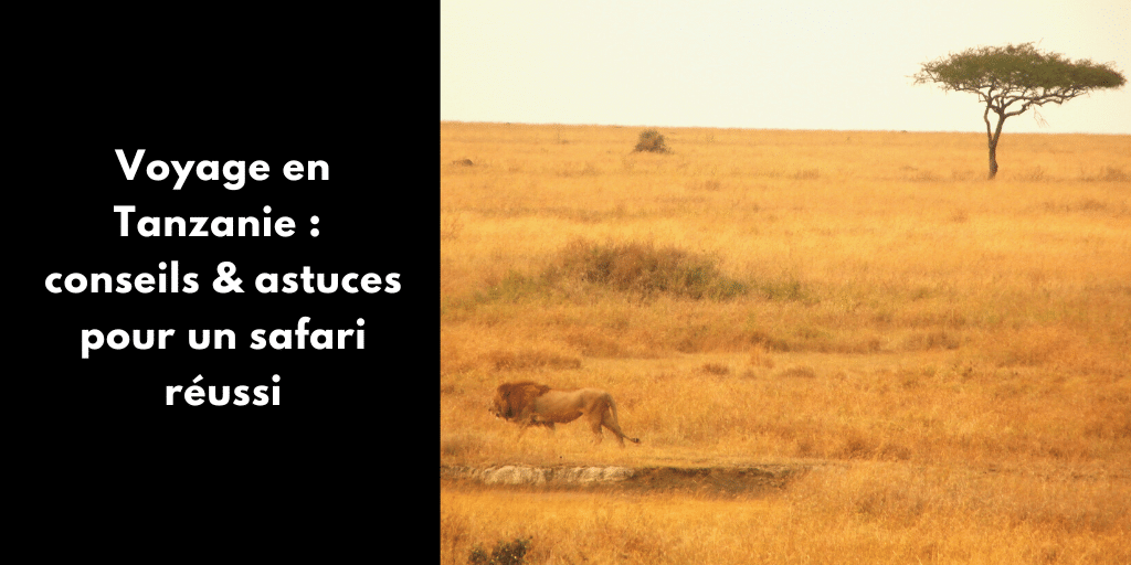 Voyage en Tanzanie : conseils et astuces pour un safari réussi